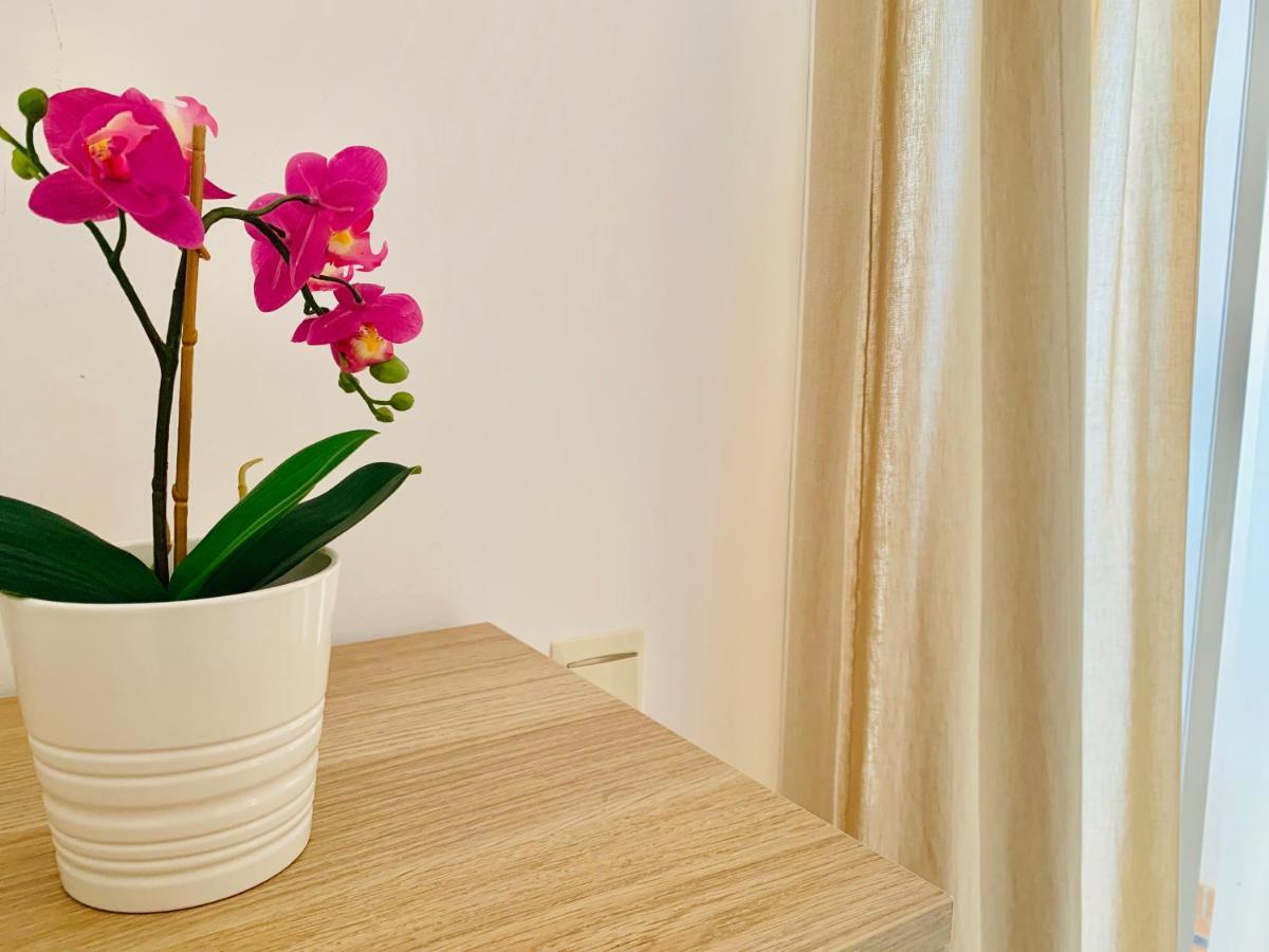 Homely Malaga Parras Con Terraza Interior Y Parking Privado Bajo Suplemento Exterior photo